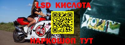 дмт Новокубанск