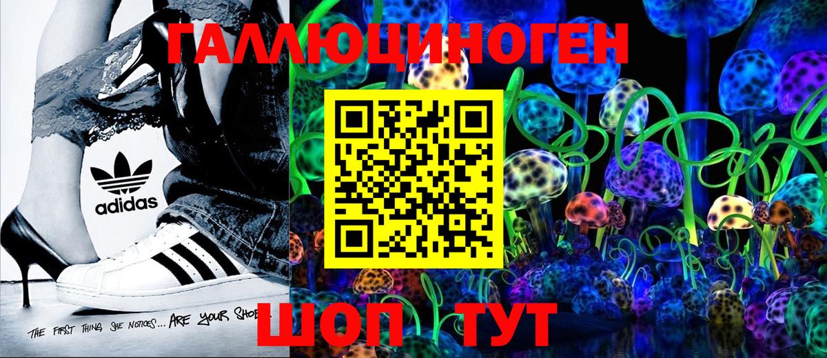 что такое   Вход с VPN  Сергиев Посад  Галлюциногенные грибы ЛСД  Псилоцибиновые грибы Psilocybe 